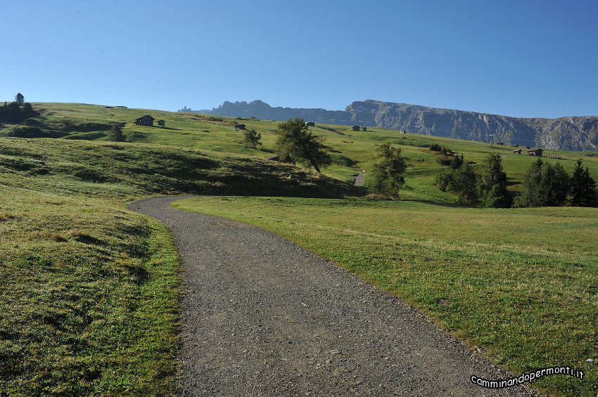 008 Alpe di Siusi.JPG